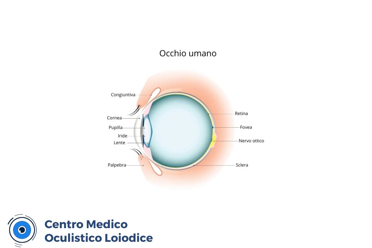 pachimetria corneale centro medico oculistico loiodice
